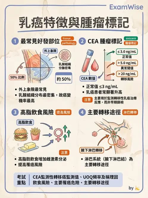護理師 - 其他常見癌症護理 - AI 圖文解析預覽