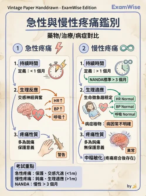 護理師 - 放療、疼痛管理與安寧護理 - AI 圖文解析預覽