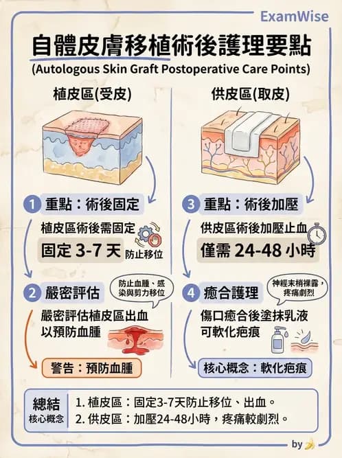 護理師 - 燒傷護理 - AI 圖文解析預覽
