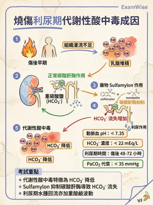 護理師 - 燒傷護理 - AI 圖文解析預覽
