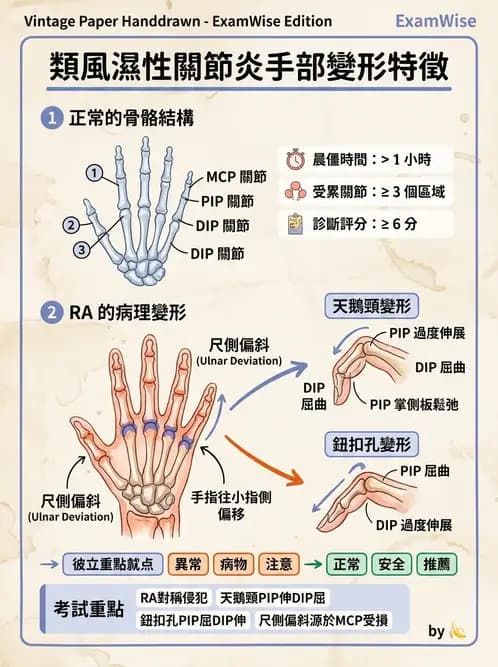 護理師 - 自體免疫疾病與過敏反應 - AI 圖文解析預覽