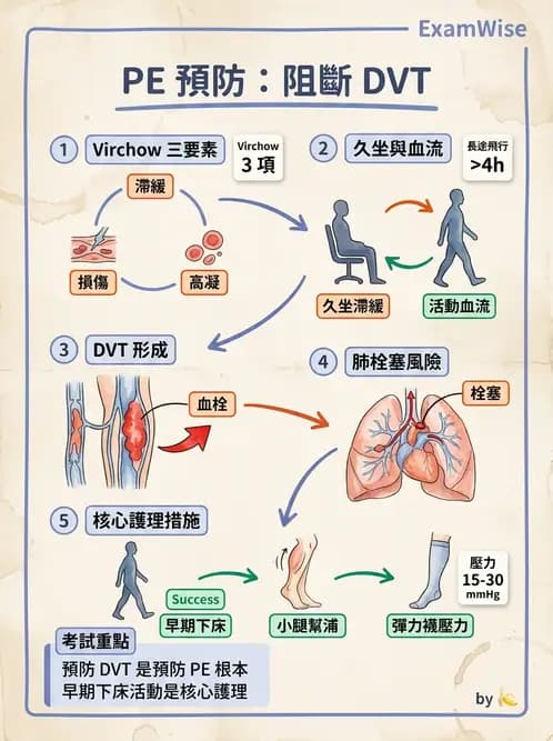 護理師 - 呼吸衰竭與胸腔護理 - AI 圖文解析預覽