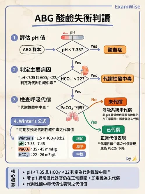 護理師 - 透析、電解質與酸鹼平衡 - AI 圖文解析預覽