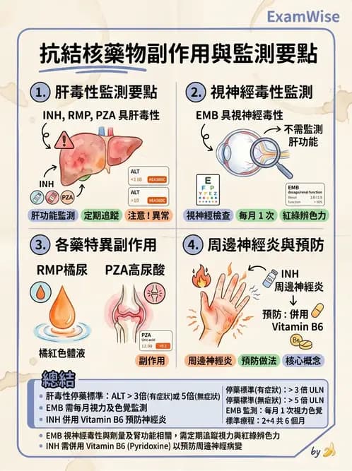 護理師 - 肺炎與呼吸道感染 - AI 圖文解析預覽