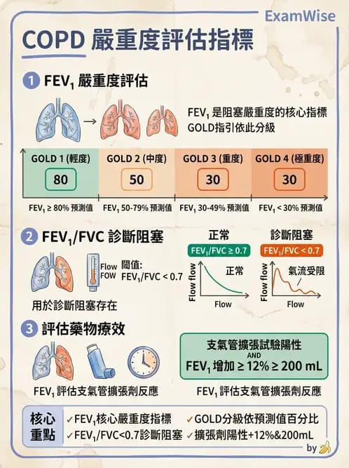 護理師 - COPD與氣喘 - AI 圖文解析預覽