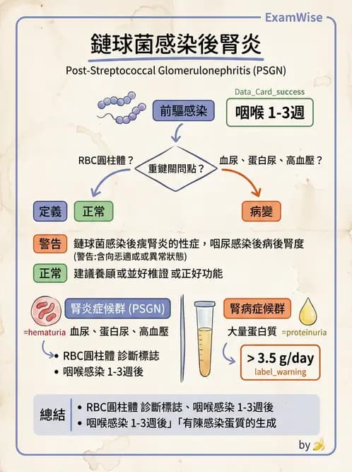 護理師 - 腎炎、腎衰竭與慢性腎臟病 - AI 圖文解析預覽