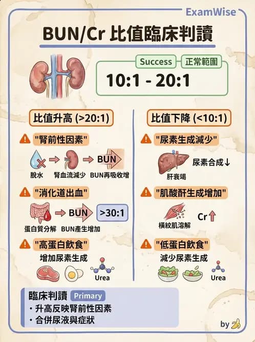 護理師 - 腎炎、腎衰竭與慢性腎臟病 - AI 圖文解析預覽