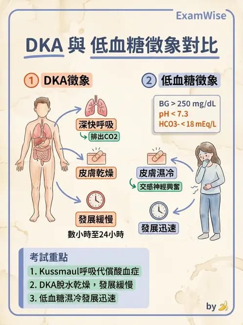 護理師 - 糖尿病併發症護理 - AI 圖文解析預覽