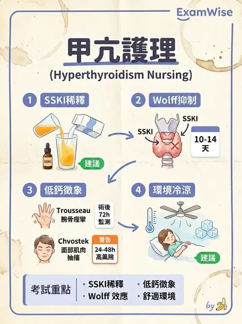 護理師 - 甲狀腺與副甲狀腺疾病 - AI 圖文解析預覽