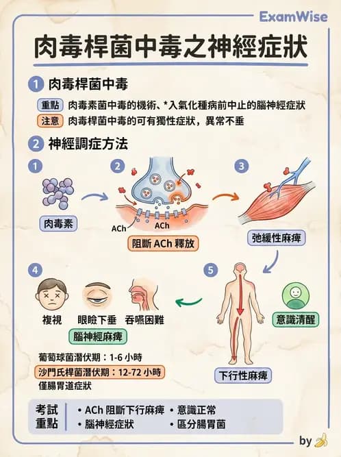 護理師 - 傳染病護理 - AI 圖文解析預覽