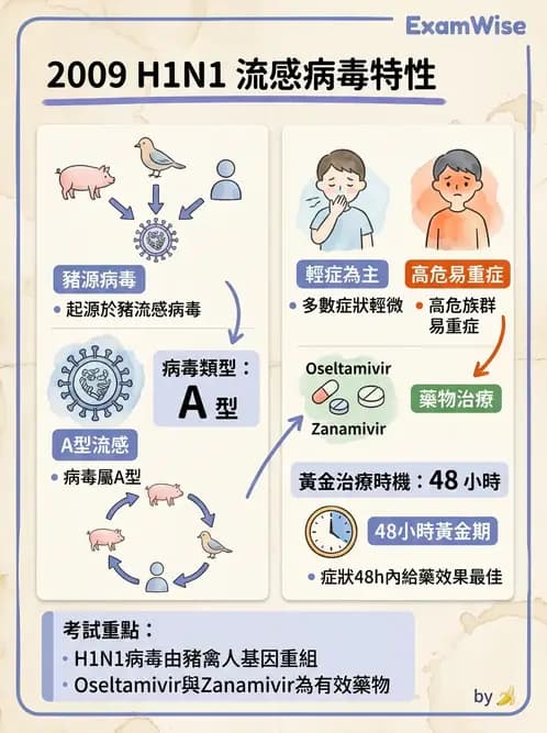 護理師 - 傳染病護理 - AI 圖文解析預覽