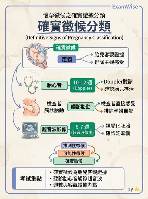 護理師 - 孕期生理變化與不適護理 - AI 圖文解析預覽