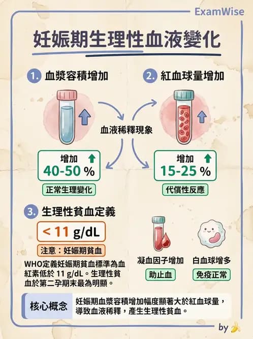 護理師 - 孕期生理變化與不適護理 - AI 圖文解析預覽