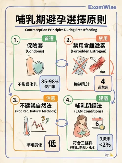 護理師 - 產後心理併發症與家庭計畫 - AI 圖文解析預覽