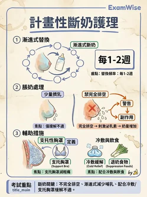 護理師 - 母乳哺餵 - AI 圖文解析預覽