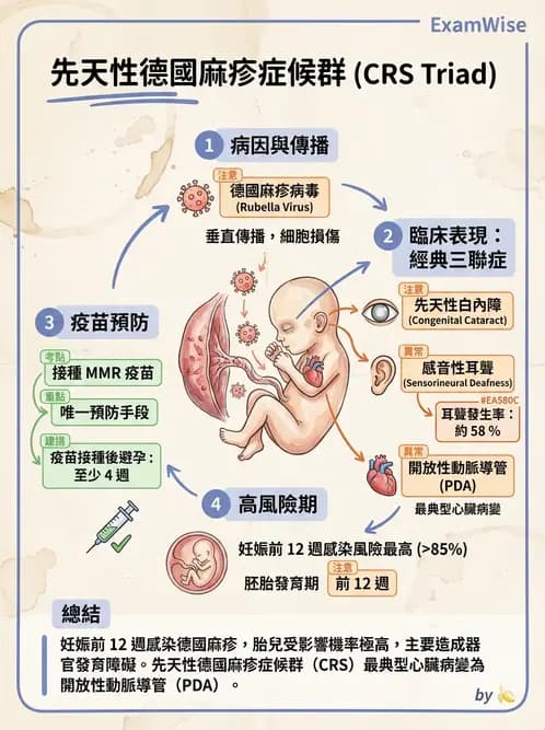 護理師 - 高危險妊娠 - AI 圖文解析預覽