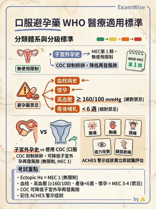 護理師 - 產後心理併發症與家庭計畫 - AI 圖文解析預覽