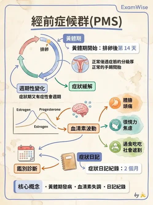 護理師 - 不孕症月經與更年期 - AI 圖文解析預覽