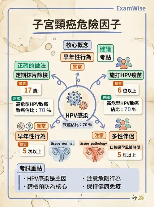 護理師 - 婦科腫瘤與感染 - AI 圖文解析預覽