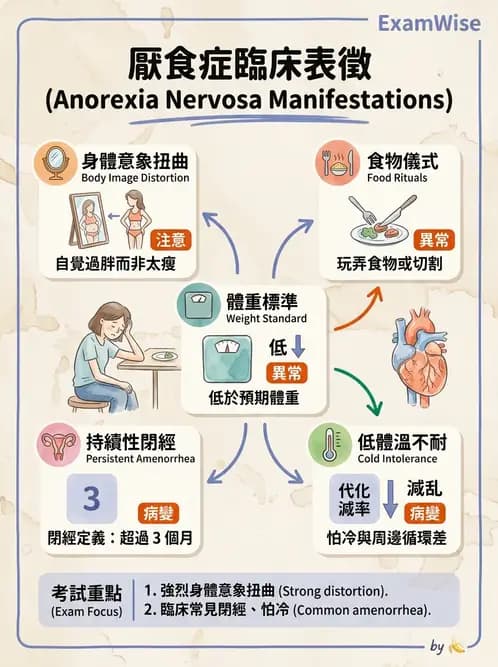 護理師 - 不孕症月經與更年期 - AI 圖文解析預覽