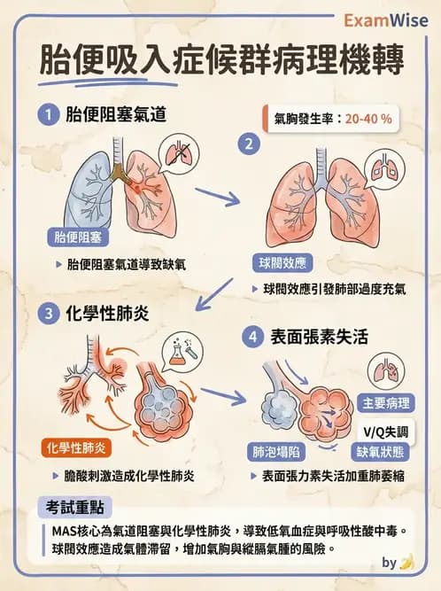 護理師 - 高危險新生兒 - AI 圖文解析預覽