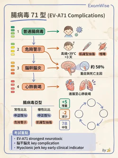 護理師 - 兒童傳染性疾病 - AI 圖文解析預覽