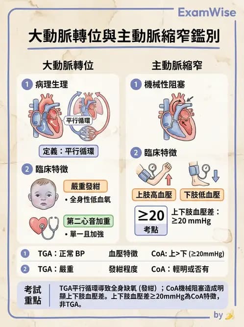 護理師 - 兒童循環系統疾病 - AI 圖文解析預覽