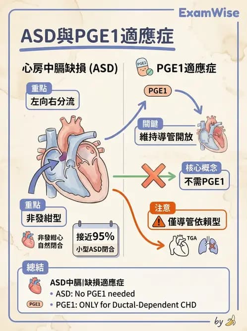 護理師 - 兒童循環系統疾病 - AI 圖文解析預覽