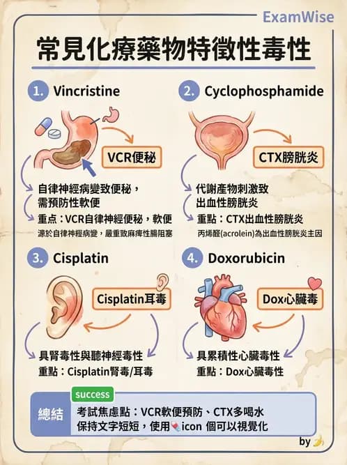 護理師 - 兒童血液與腫瘤疾病 - AI 圖文解析預覽