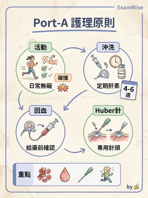 護理師 - 兒童血液與腫瘤疾病 - AI 圖文解析預覽