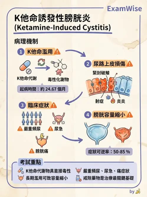 護理師 - 物質相關與成癮障礙 - AI 圖文解析預覽