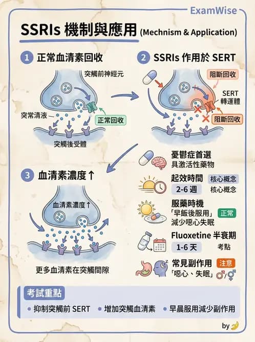 護理師 - 精神科藥物與生物治療 - AI 圖文解析預覽