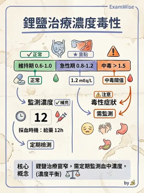 護理師 - 精神科藥物與生物治療 - AI 圖文解析預覽