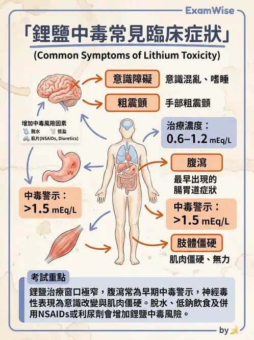 護理師 - 精神科藥物與生物治療 - AI 圖文解析預覽