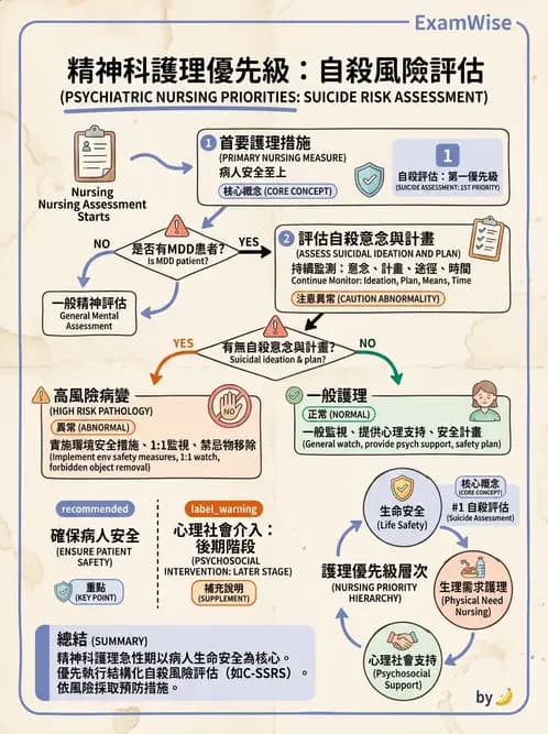 護理師 - 憂鬱症與自殺防治 - AI 圖文解析預覽