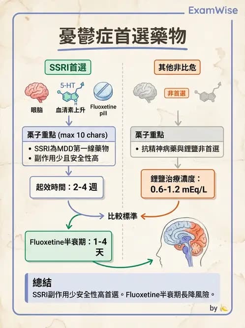 護理師 - 精神科藥物與生物治療 - AI 圖文解析預覽