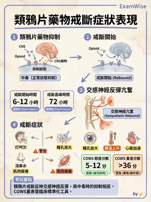 護理師 - 物質相關與成癮障礙 - AI 圖文解析預覽