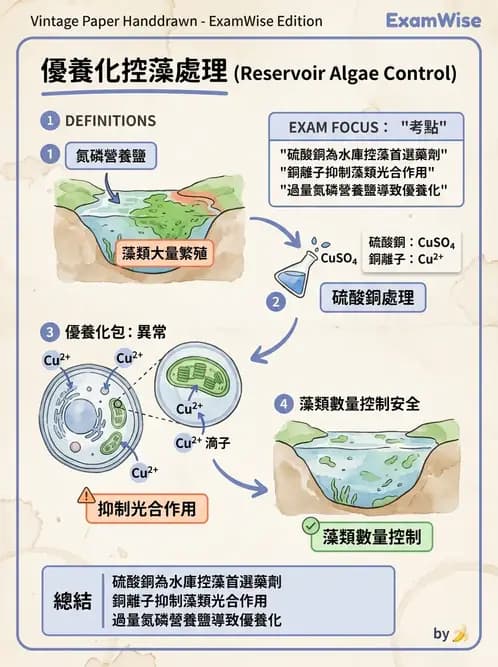 護理師 - 環境衛生與護理 - AI 圖文解析預覽