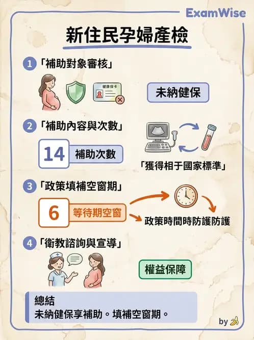 護理師 - 婦幼與青少年健康 - AI 圖文解析預覽