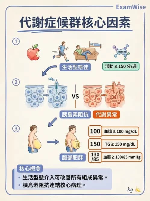 護理師 - 慢性病防治 - AI 圖文解析預覽