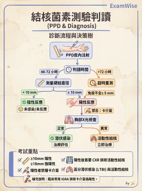護理師 - 注射技術 - AI 圖文解析預覽