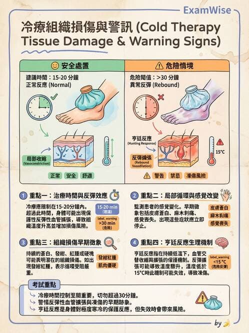 護理師 - 冷熱療法 - AI 圖文解析預覽