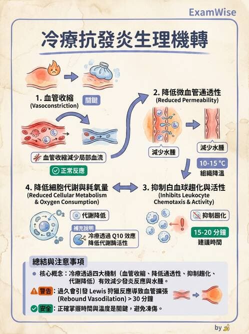 護理師 - 冷熱療法 - AI 圖文解析預覽