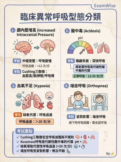 護理師 - 體溫與呼吸評估 - AI 圖文解析預覽