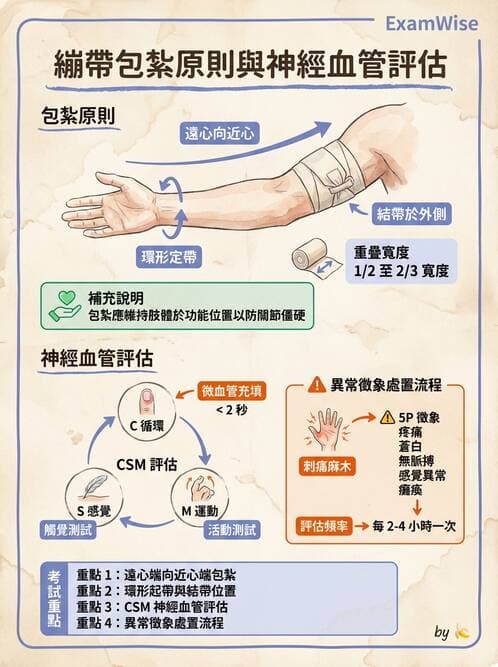 護理師 - 護理安全與環境管理 - AI 圖文解析預覽