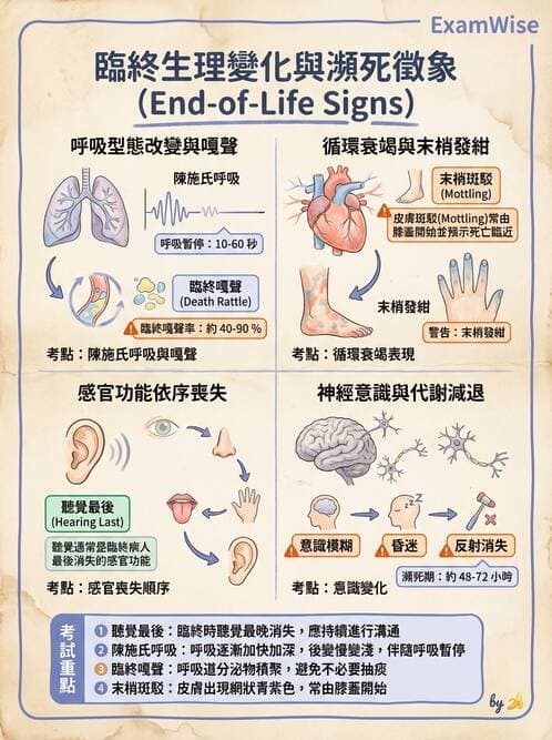 護理師 - 臨終與哀傷護理 - AI 圖文解析預覽