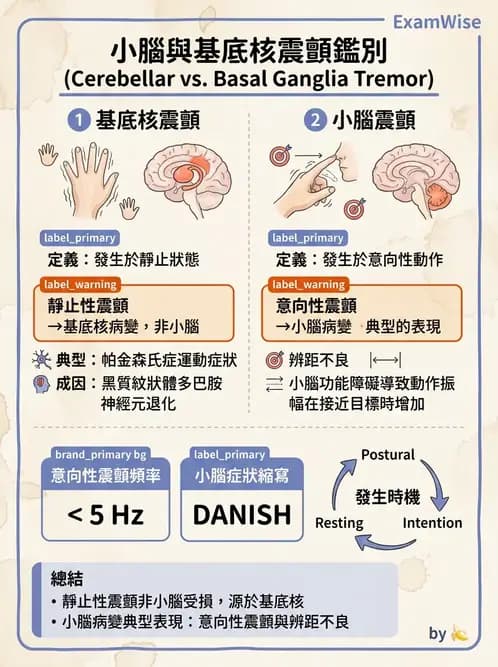 物治 - 神經系統生理 - AI 圖文解析預覽