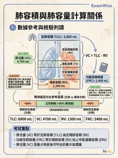 物治 - 呼吸生理 - AI 圖文解析預覽