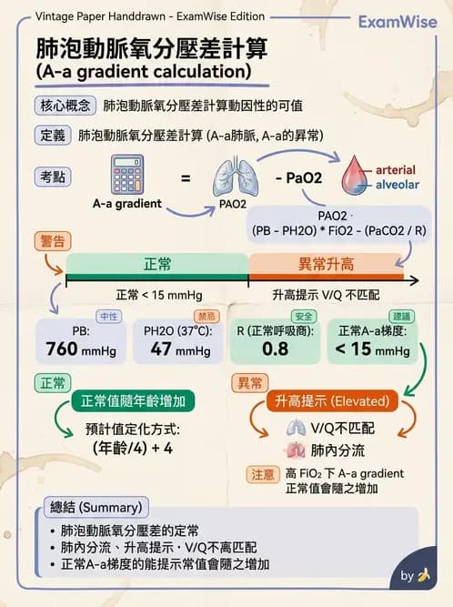 物治 - 呼吸生理 - AI 圖文解析預覽