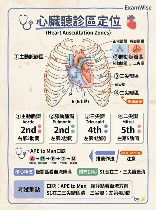 物治 - 心臟血管生理 - AI 圖文解析預覽